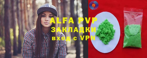 СК Новозыбков