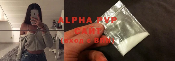 СК Новозыбков