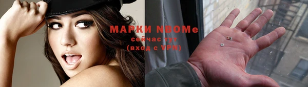 СК Новозыбков