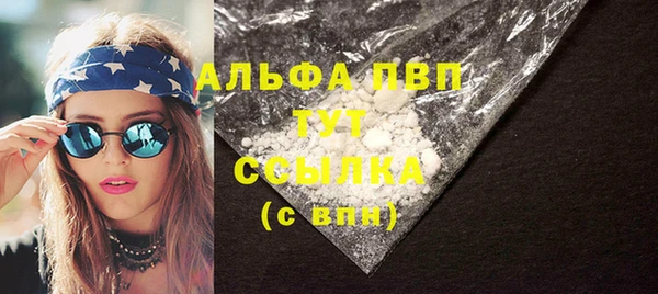 СК Новозыбков