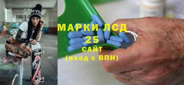 СК Новозыбков