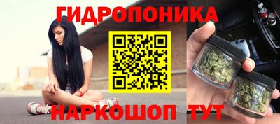 прущие крисы Гатчина