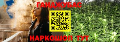 прущие крисы Гатчина