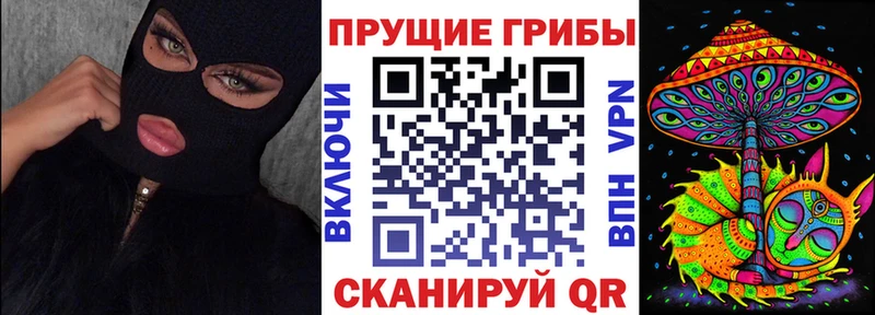 Псилоцибиновые грибы Psilocybine cubensis  где найти наркотики  Гурьевск 