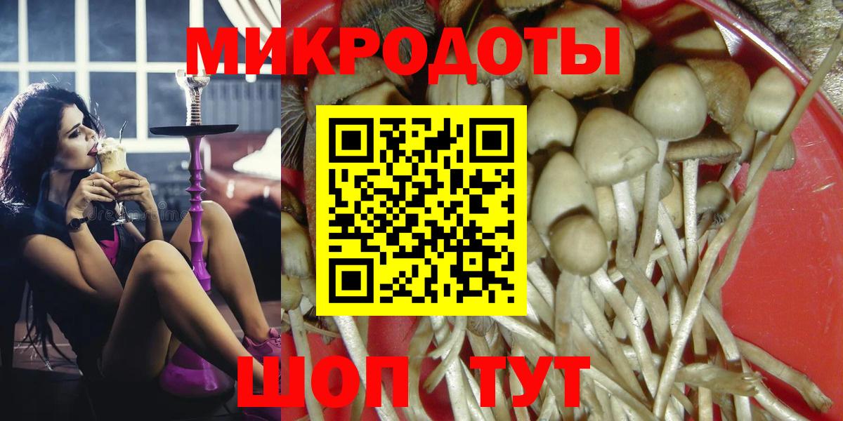 Галлюциногенные грибы Psilocybe Гурьевск