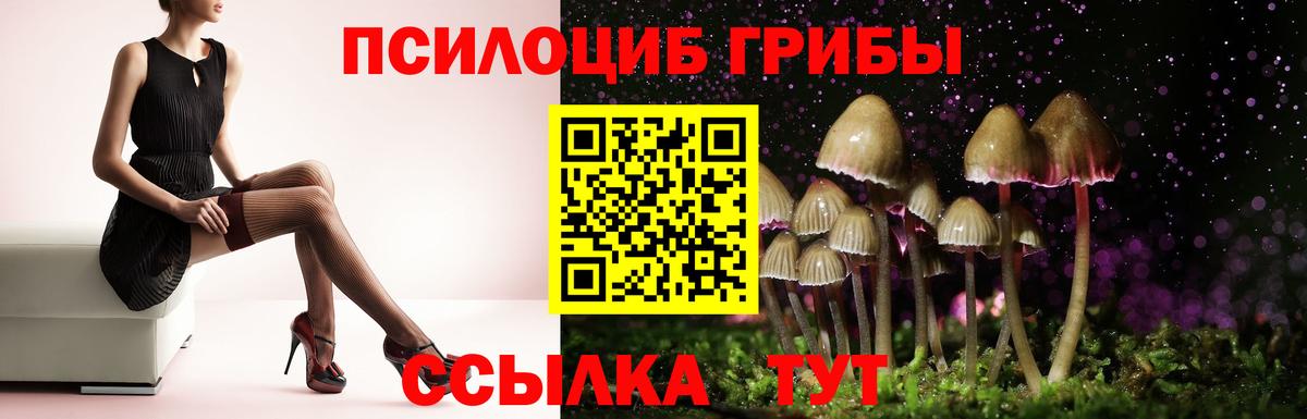 Мяу-Мяу  XTC  ГАШ  Гурьевск  МДМА  Мефедрон  Гашиш  Вход с VPN 
