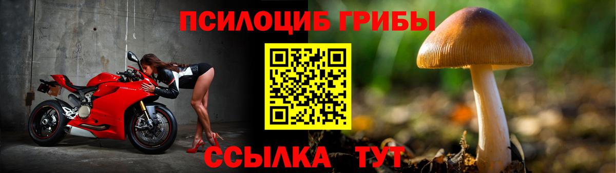 Гурьевск  даркнет сайт  Вход с VPN  Галлюциногенные грибы GOLDEN TEACHER 